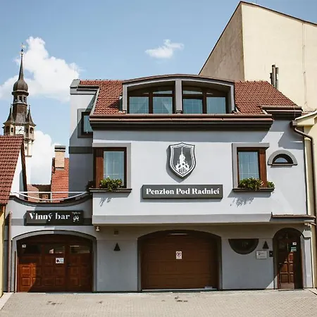 Pod Radnici